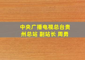 中央广播电视总台贵州总站 副站长 周勇